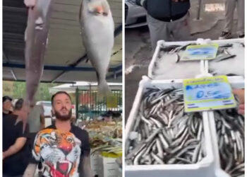 Ruba ai ricchi per dare ai poveri” almeno stando a quanto dice