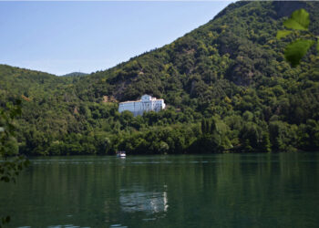 Sassi contro un cigno a Monticchio. Il video caricato su tiktok fa il giro della rete