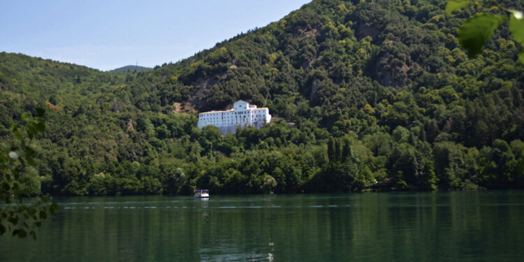 Sassi contro un cigno a Monticchio. Il video caricato su tiktok fa il giro della rete