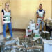 Sequestrate duemila piante di Canapa