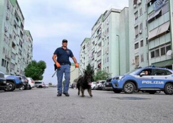 Controlli al Parco Verde di Caivano, 250 persone identificate