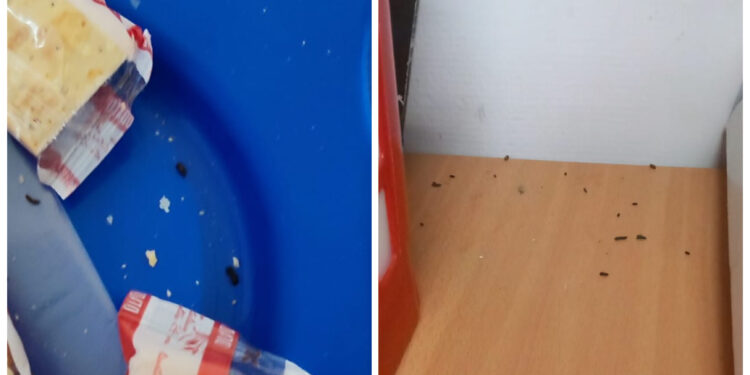 Escrementi di topo in mensa, ancora una segnalazione