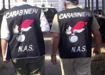 Escrementi di topi e insetti nelle mense scolastiche, intervengono i Nas