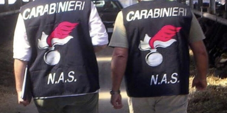 Escrementi di topi e insetti nelle mense scolastiche, intervengono i Nas