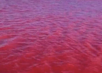 Le acque del Nilo si tingono di Rosso ma c’è una spiegazione scientifica