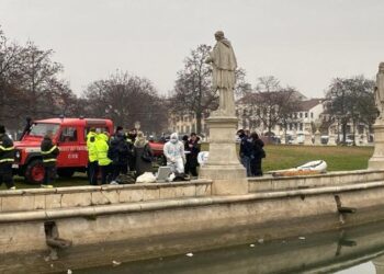 Passeggiano sulle rive del fiume e scorgono un cadavere galleggiante: scena raccapricciante a Padova