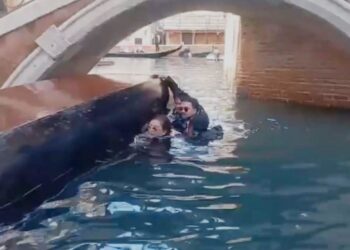 Selfie in gondola a Venezia e la fanno ribaltare, in acqua turisti e gondoliere