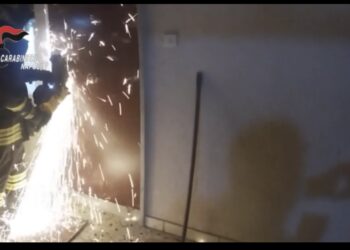 Pericoloso latitante catturato dai Carabinieri a Napoli