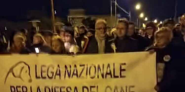 Una fiaccolata per Leone