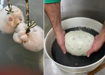 Nasce a Napoli il primo caciocavallo gusto panettone