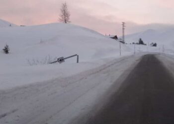 Autovelox abbattuto nella notte: era il più redditizio d’Italia