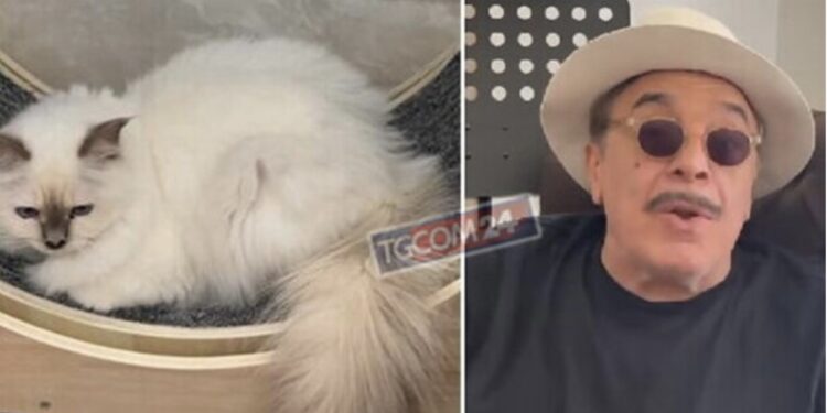 Frassica indagato dopo le polemiche per il suo gatto sparito