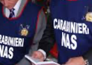 “Snack contaminati  da peste suina”