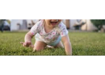 Bologna, evade dall’asilo gattonando