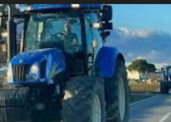 Agricoltori di Acerra, continua la protesta