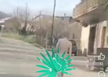 Gira completamente nudo per le strade dell’irpinia: Fermato dai Carabinieri