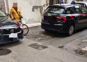 Smantellato, grazie a Pino Grazioli, un  negozio abusivo di alimenti avariati e sigarette di contrabbando