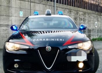 Automobili sotto sequestro messe in vendita