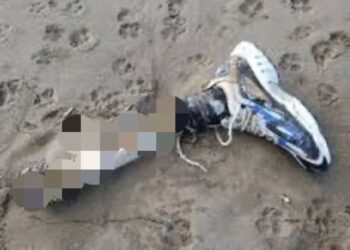 Ritrovati sulla spiaggia di Paestum resti umani