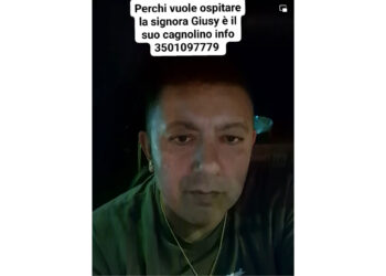 La signora Giusy cerca casa con il suo cagnolino