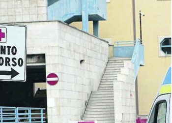 GROTTAMINARDA: AGGREDITA DA UN CANE CORSO, DONNA CON GRAVI FERITE AL MOSCATI