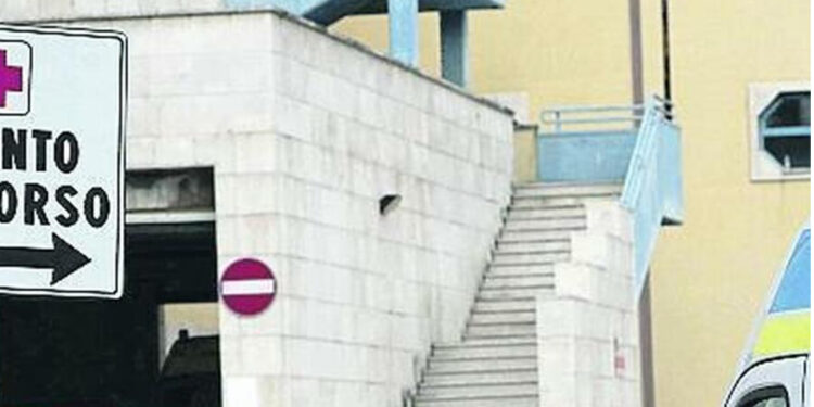 GROTTAMINARDA: AGGREDITA DA UN CANE CORSO, DONNA CON GRAVI FERITE AL MOSCATI