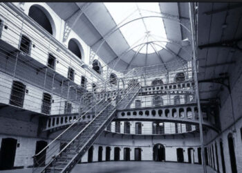 NAPOLI, NEL CARCERE DI POGGIOREALE IL CANE SPIKE DEI CINOFILI ELLA POLIZIA PENITENZIA SCOVA UNA COLOMBA “FARCITA” DI HASHISH. ALTRO STUPEFACENTE NEI DEODORANTI STICK