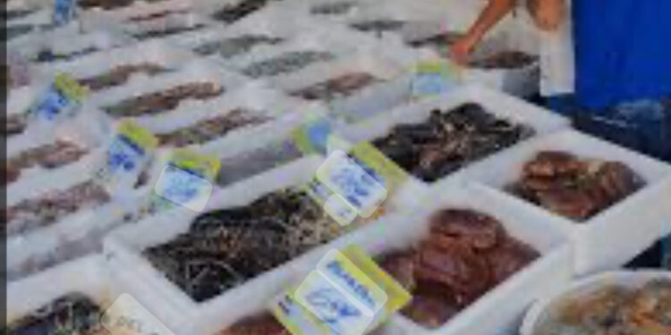 Blitz nella pescheria ‘I Diamanti del Mare’: 350 kg di merce sequestrati, 4 operai in nero scoperti