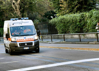 TRAGEDIA A EBOLI: BAMBINO DI 13 MESI UCCISO DA DUE PITBULL, FERITA LA MADRE