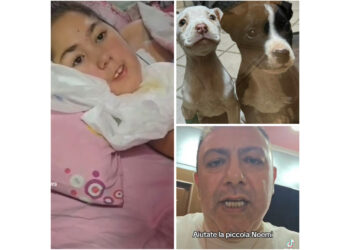 La Storia di Noemi: Una Bambina Speciale e il Dolore della Perdita dei Suoi Fedeli Amici