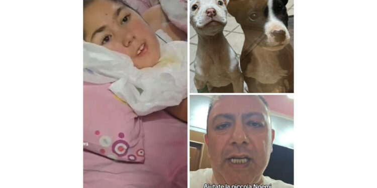 La Storia di Noemi: Una Bambina Speciale e il Dolore della Perdita dei Suoi Fedeli Amici