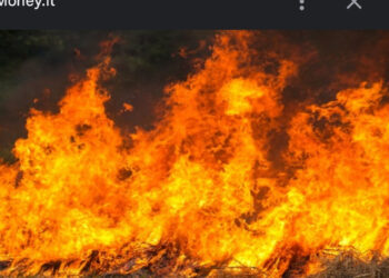 Incendio nel Bar del Fratello del Boss Troncone a Fuorigrotta: In Fiamme il Tendone