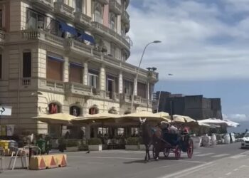 Carrozze trainate dai cavalli: allarme caldo a Napoli