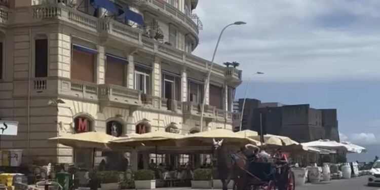 Carrozze trainate dai cavalli: allarme caldo a Napoli