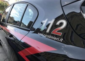 Abbandona la madre invalida per andare in vacanza. L’avvocato paragona il caso a quello della Pifferi