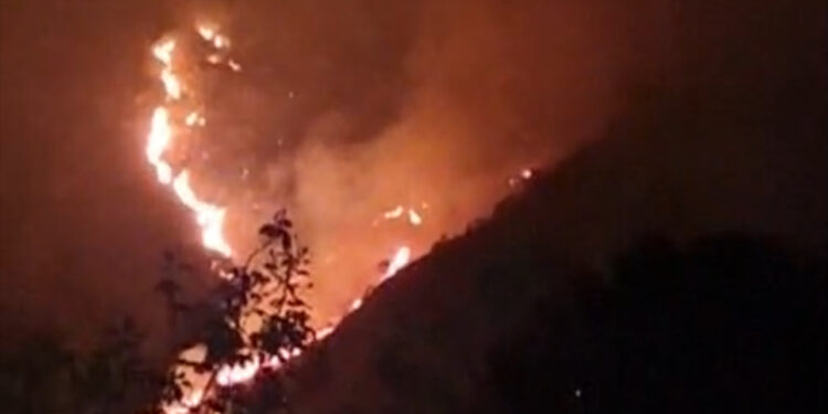 Brucia ancora  la collina dei Camaldoli: L’Incendio non è ancora stato spento