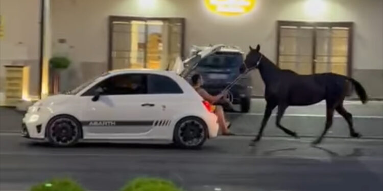 Marano: cavallo trainato da un’auto, scoppia l’indignazione. Borrelli: “atto di maltrattamento e guida pericolosa”
