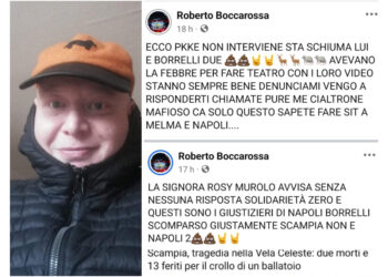 Roberto Boccarossa accuse su facebook: Pino Grazioli e Francesco Emilio Borrelli nel mirino
