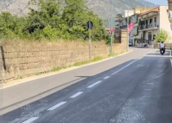 Investe e uccide donna, vigile sospeso dal servizio