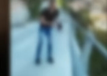 Orrore in Sardegna: minorenni lanciano un gattino da un ponte, scoppia l’indignazione sul web