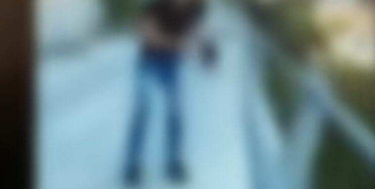 Orrore in Sardegna: minorenni lanciano un gattino da un ponte, scoppia l’indignazione sul web