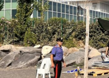Blitz dei carabinieri sul litorale: smantellato un lido abusivo