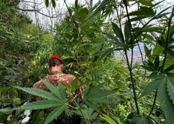 Carabinieri: operazione “Continuum Bellum”