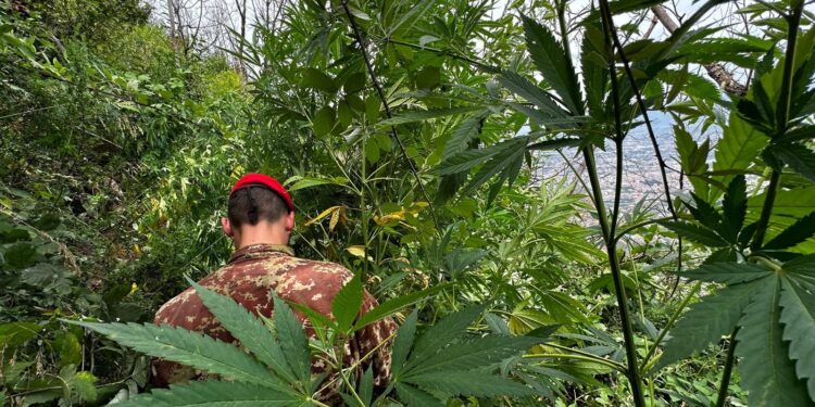 Carabinieri: operazione “Continuum Bellum”