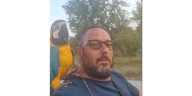 Accuse e incoerenze: l’Uomo denunciato da Pino Grazioli per diffamazione gira senza regole in motorino