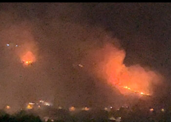 Incendio a Montevergine: fiamme devastano la località Cerreto, intervento urgente dei soccorritori
