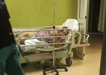 Vanda: aggiornamenti dall’ospedale