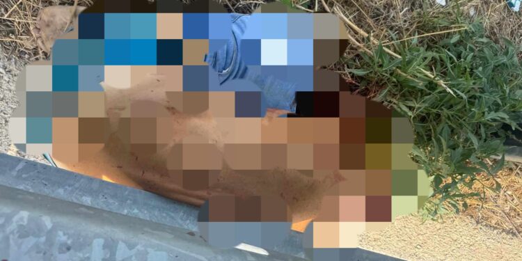 Pollena Trocchia: ruba un’auto, fugge dalla polizia e muore dopo essersi gettato dal veicolo