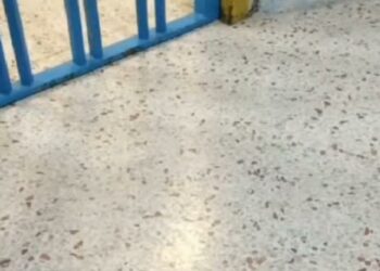 Crescono le live dalle carceri su TikTok: allarme per le violazioni delle norme penitenziarie