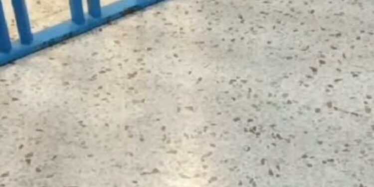 Crescono le live dalle carceri su TikTok: allarme per le violazioni delle norme penitenziarie